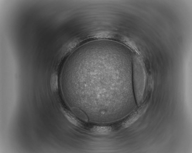 X0000116670205200912211610