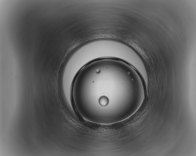 X0000116670207200912211610