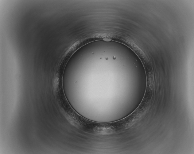 X0000116670208200912211610