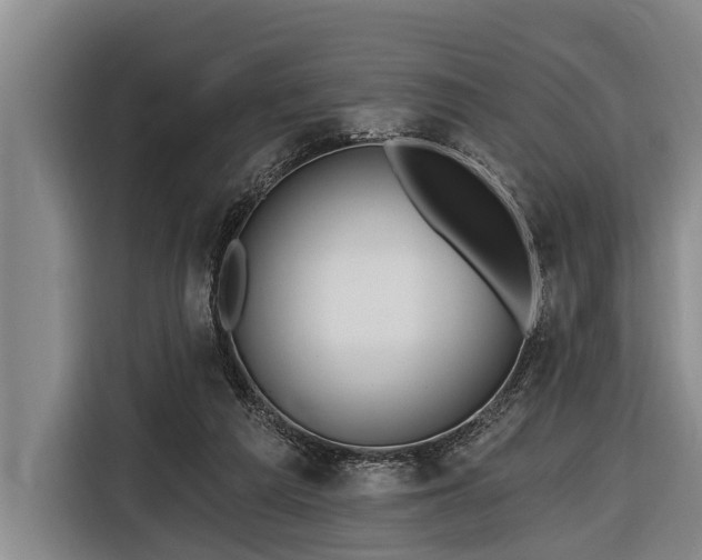 X0000116670209200912211610