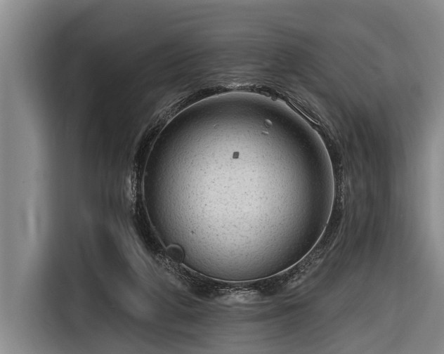 X0000116670210200912211610