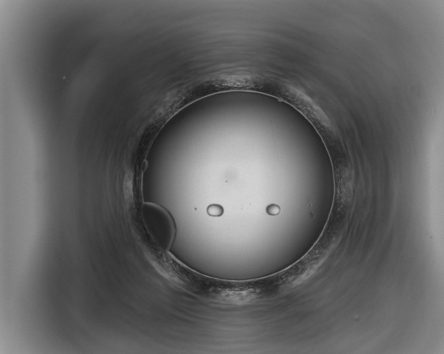 X0000116670213200912211610