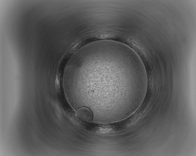 X0000116670214200912211610