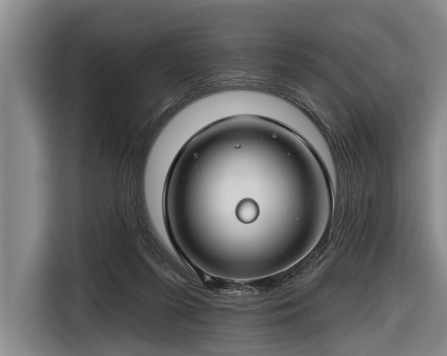 X0000116670215200912211610