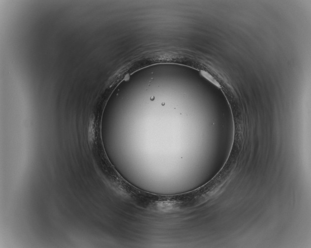 X0000116670216200912211610