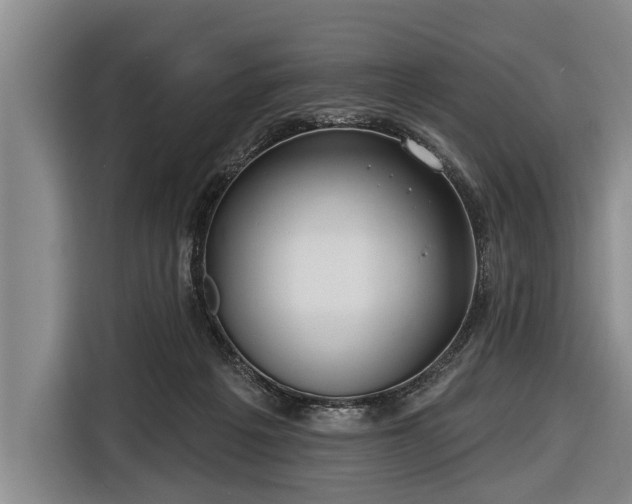 X0000116670217200912211610