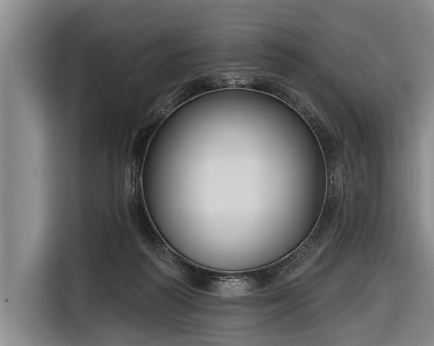 X0000116670218200912211610