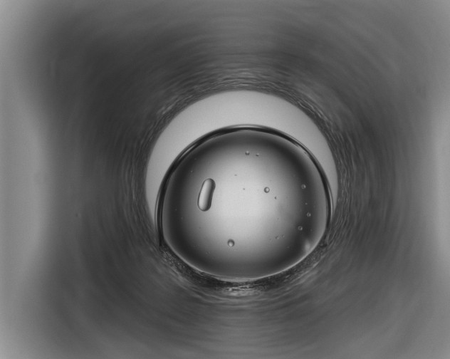 X0000116670219200912211610