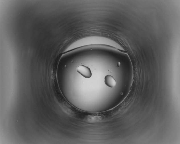 X0000116670220200912211610