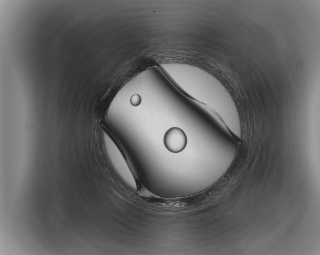 X0000116670225200912211610