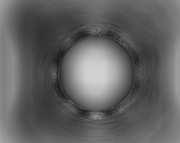 X0000116670226200912211610