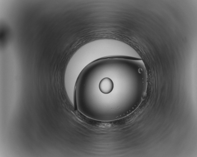 X0000116670227200912211610