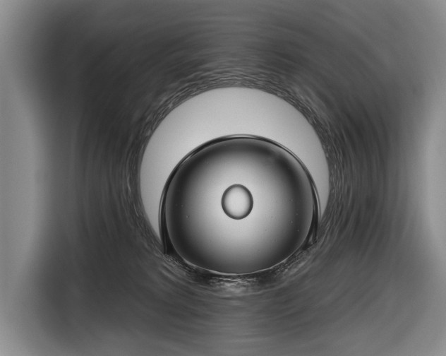 X0000116670229200912211610