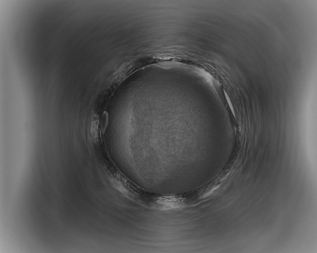 X0000116670231200912211610