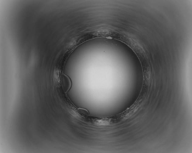 X0000116670232200912211610