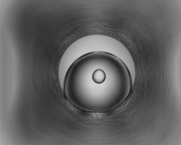 X0000116670233200912211610