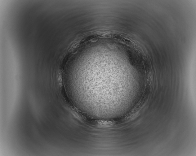 X0000116670234200912211610