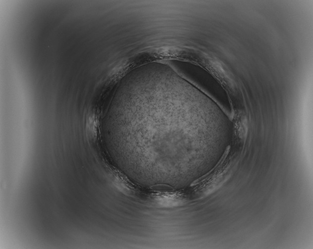 X0000116670235200912211610