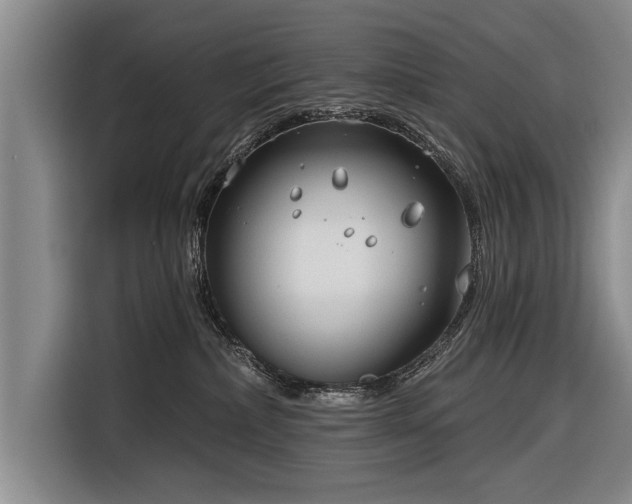 X0000116670236200912211610