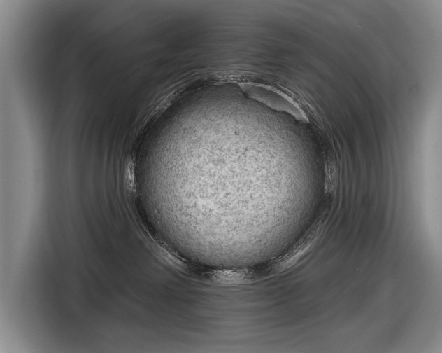 X0000116670238200912211610