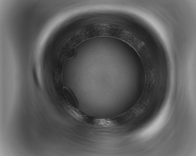 X0000116670239200912211610