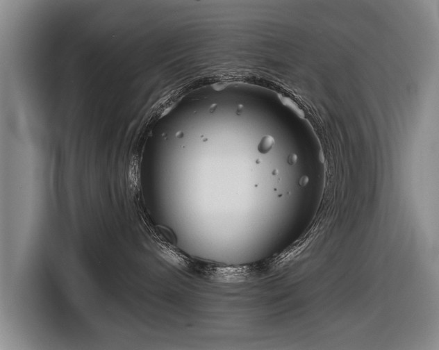 X0000116670240200912211610