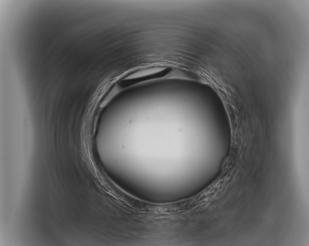 X0000116670241200912211609