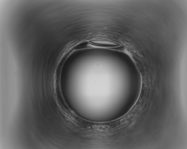 X0000116670242200912211609