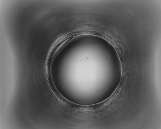 X0000116670245200912211609