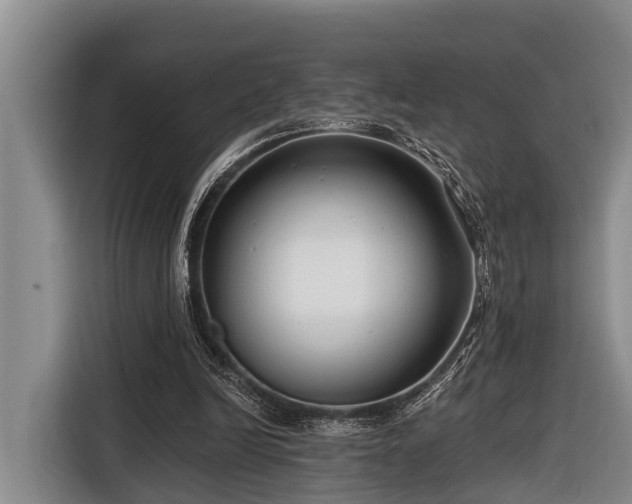 X0000116670246200912211609