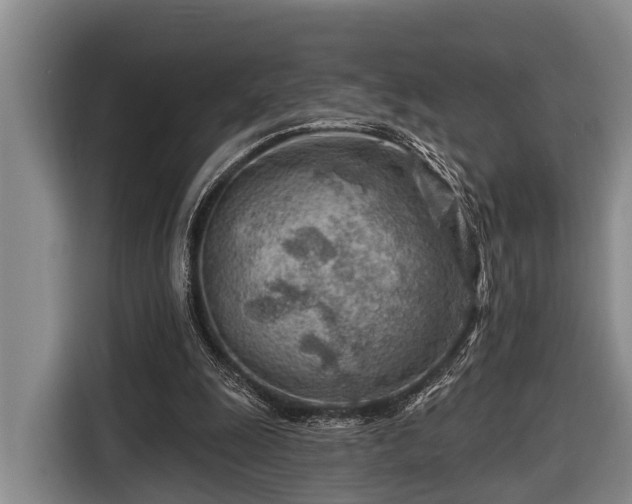 X0000116670247200912211609