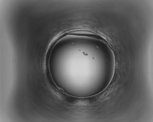 X0000116670248200912211609