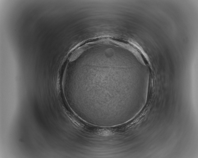 X0000116670249200912211609