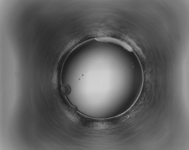 X0000116670250200912211609