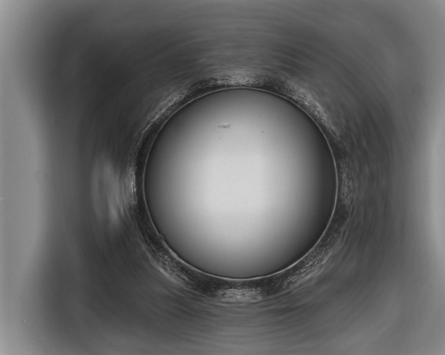 X0000116670251200912211609