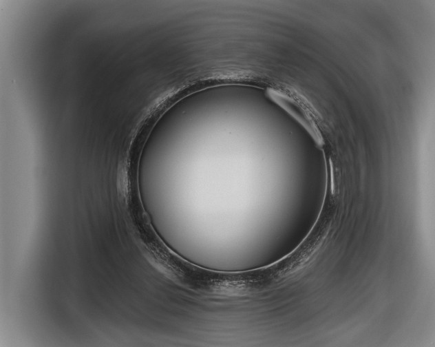 X0000116670252200912211609