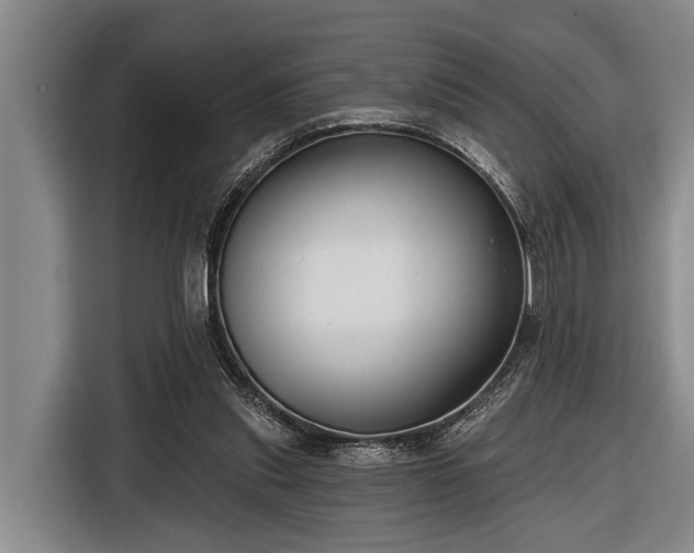 X0000116670253200912211609