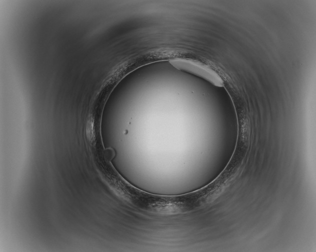 X0000116670254200912211609