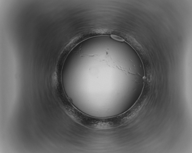 X0000116670256200912211609