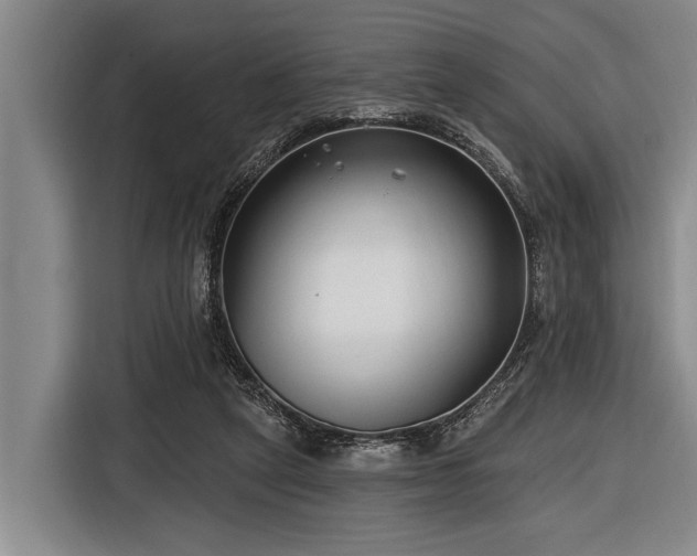 X0000116670257200912211609