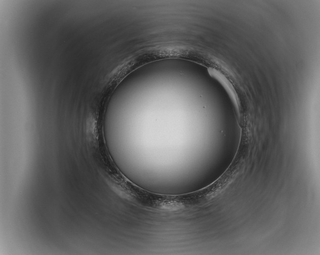 X0000116670258200912211609