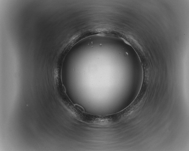 X0000116670260200912211609