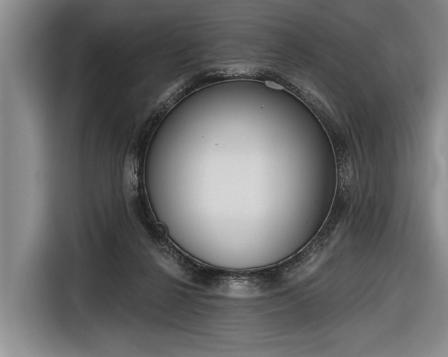 X0000116670264200912211609