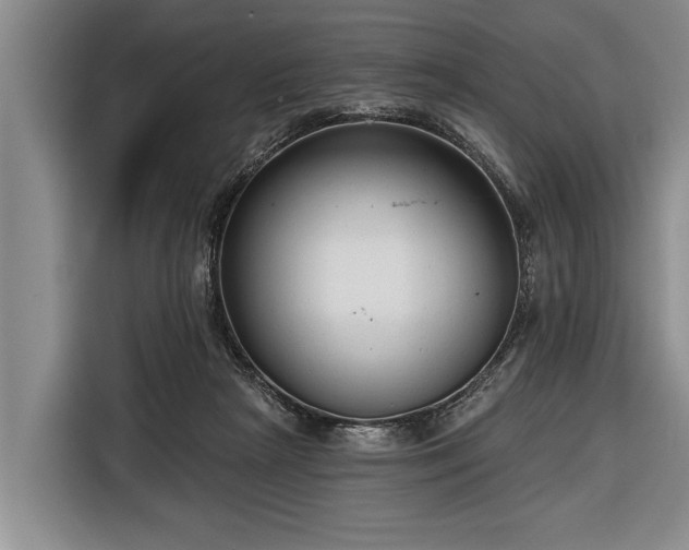 X0000116670265200912211609