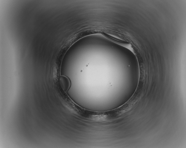 X0000116670266200912211609