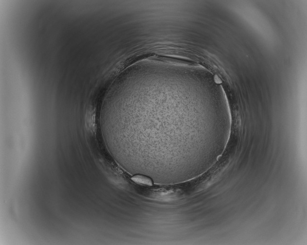 X0000116670267200912211609