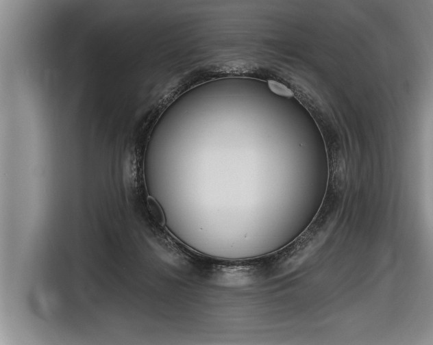 X0000116670268200912211609