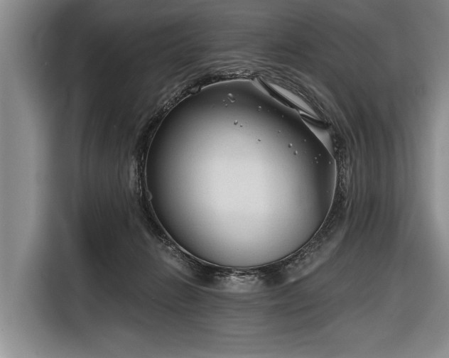 X0000116670270200912211609