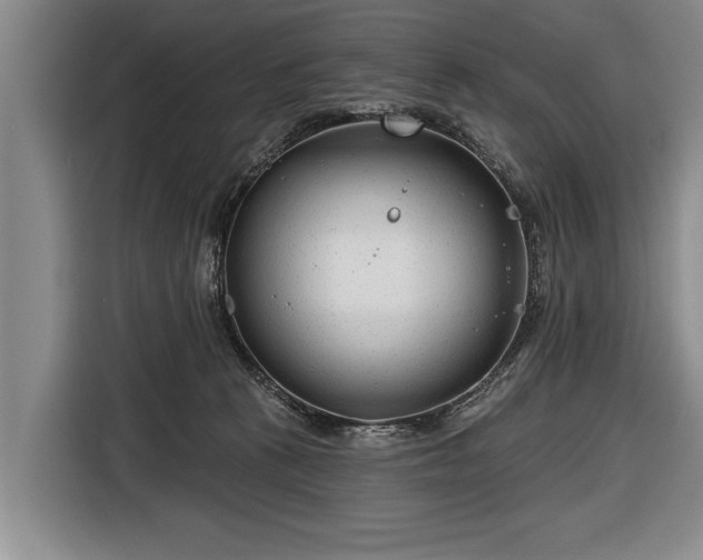 X0000116670273200912211609