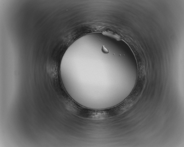 X0000116670274200912211609